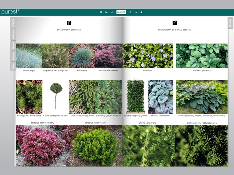 Katalog mało wymagających roślin na cmentarz